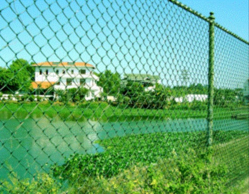 pvc-coated-chain-link-mesh-fence